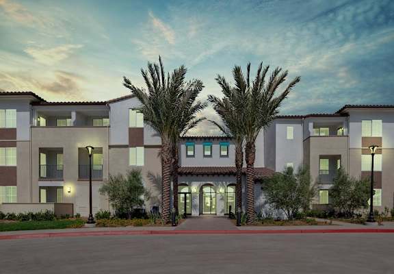 an exterior view of a building with palm trees in front of it