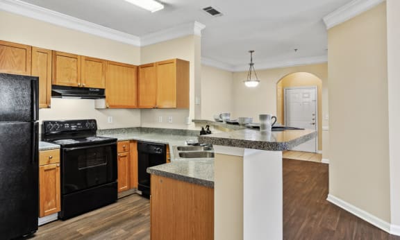 Kitchen at Longwood Vista Apartment Homes in Atlanta GA