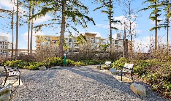 A gravel area with benches and trees in the foreground and buildings in the background.