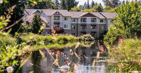 A large building is situated by a body of water with swans swimming in it.