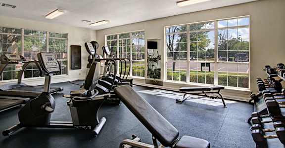 A gym with treadmills, exercise bikes, and other equipment.