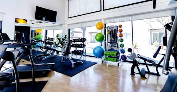 A gym with a variety of equipment including treadmills, weights, and exercise balls.
