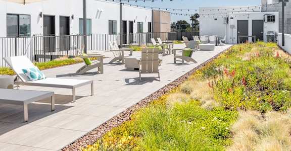 A patio with chairs and umbrellas is surrounded by a grassy area.