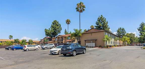 A parking lot with cars and palm trees in the background.