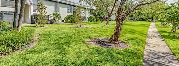 A tree in a grassy area with a building in the background.