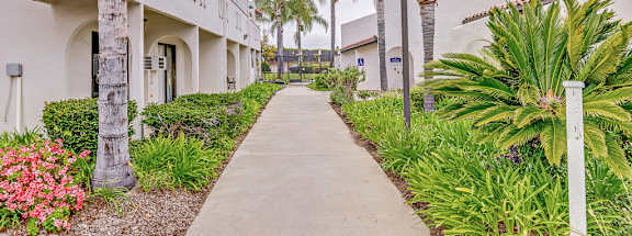A row of white buildings with palm trees in front.