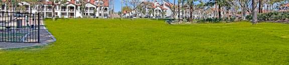 Green Space | The Catherine Townhomes in Scottsdale