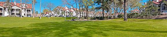 Green Space and Community Exterior | The Catherine Townhomes in Scottsdale