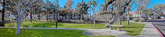Tree Lined Walkway | The Catherine Townhomes in Scottsdale