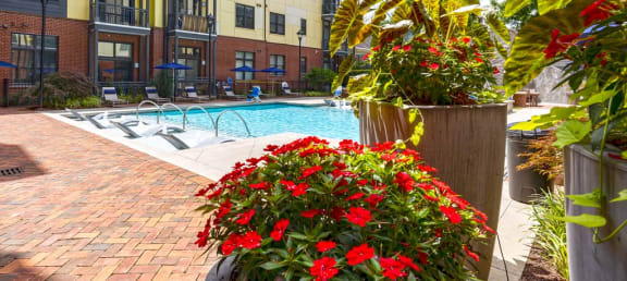 a swimming pool with flowers in front of an apartment building