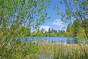 Echo Lake | Apartments In Shoreline WA | Echo Lake