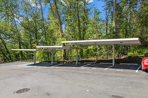 a parking lot with benches and trees in the background