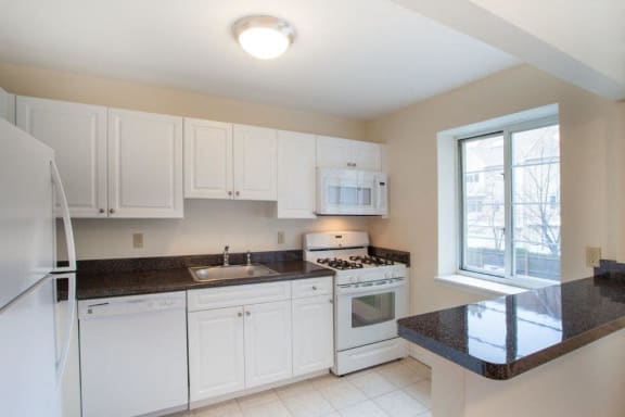 Stylish Kitchen at Green Street, Brookline, MA 02446