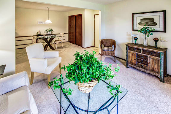 A living room with a glass coffee table and a plant in a wicker basket.