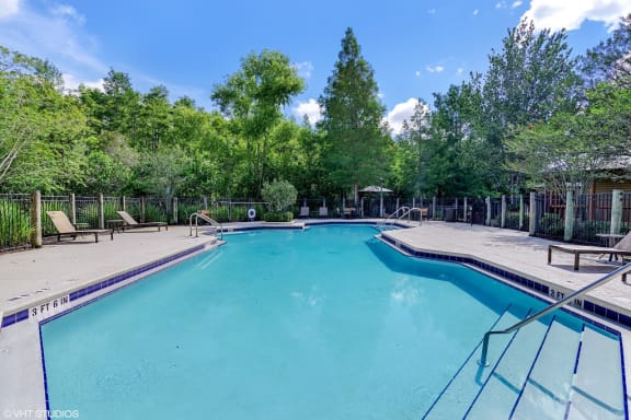 Swimming Pool with Sun Deck with Tree Line in the Background
