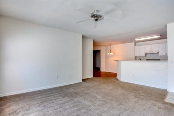 Spacious Living Room with Carpet Flooring