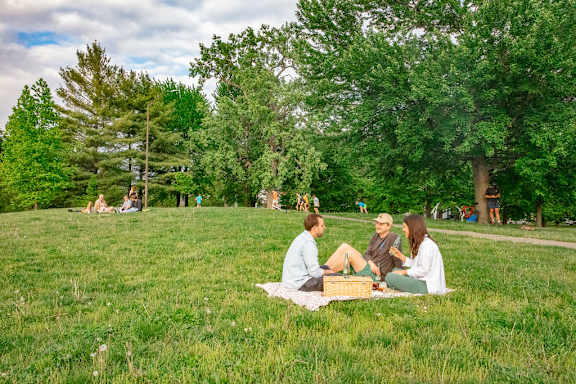 Highland Park Picnic at Gathyr Apartments, Indianapolis, IN