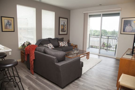 Living room in 1 bedroom apartment