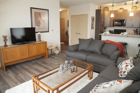 view of living room and kitchen area in 1 bedroom apartment
