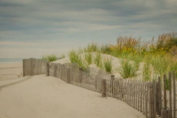 Path to the beach