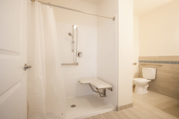 Bathroom with handicap friendly shower