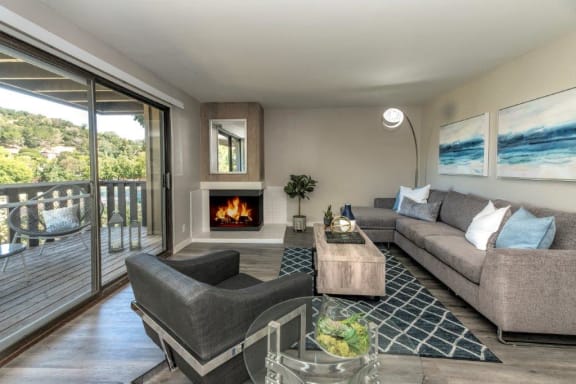 Parkside Apartments living room and fireplace