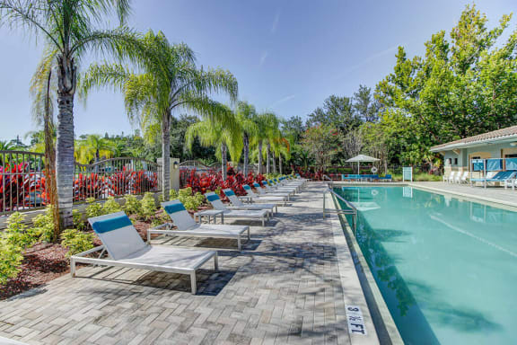 Sparkling Swimming Pool at The Preserve at Westchase, Florida, 33626