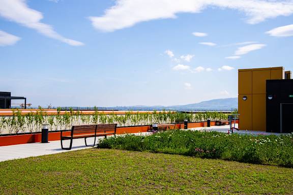 a group of benches on top of a roof