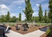 Thumbnail 7 of 20 - Cornerstone Creek Apartments Golden Valley