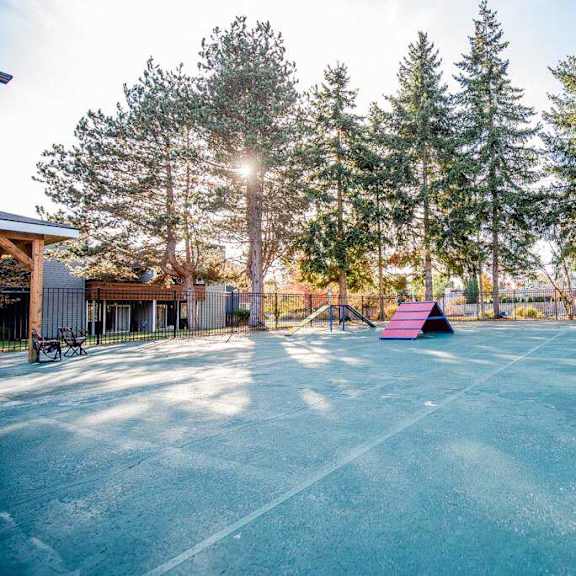 A tennis court surrounded by trees and a fence.