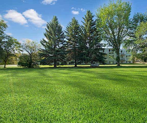 A large grass field with trees and the apartments in the background at Gateway Gardens. 