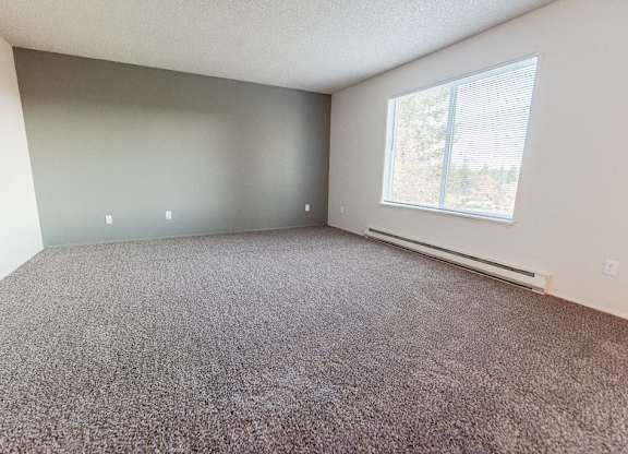 Lakewood Apartments - Arbor Pointe Apartments - Living Room 1