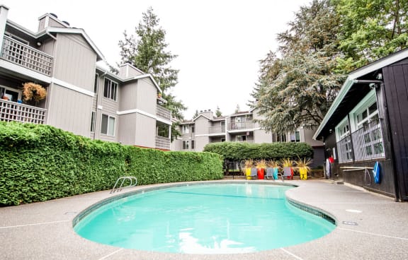 A swimming pool in front of a building with a hedge on the left. at Notch 8, Tacoma, 98444