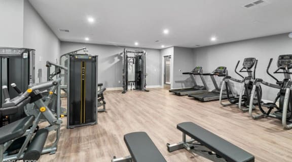 the gym is equipped with cardio equipment and weights