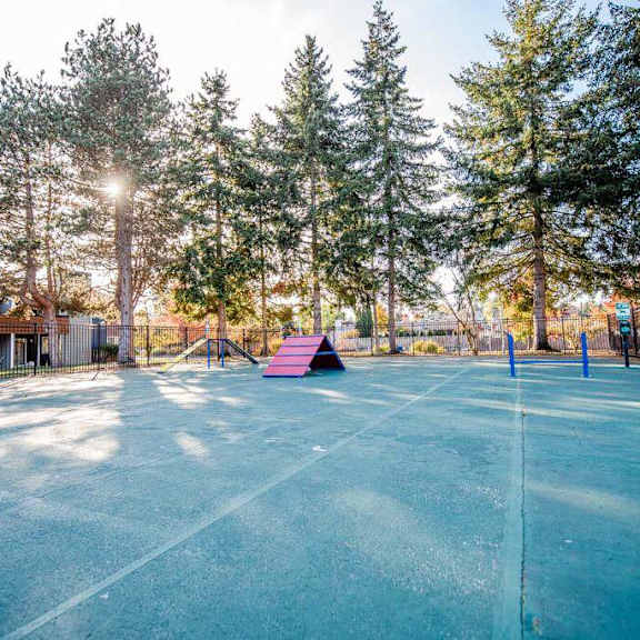 A tennis court surrounded by trees and a fence.