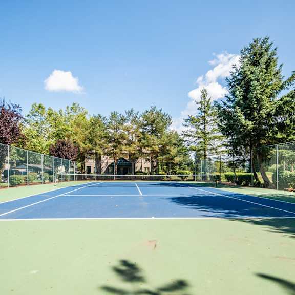 Tennis Court surrounded by Trees at Signature Pointe, Kent, 98032