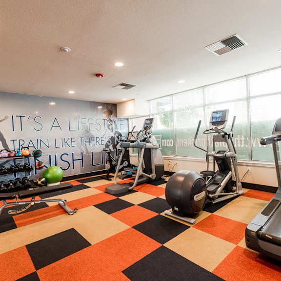 a gym with cardio machines and weights on a checkered floor