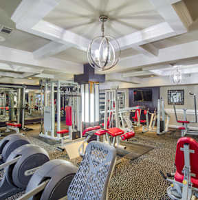 a gym with cardio equipment and weights