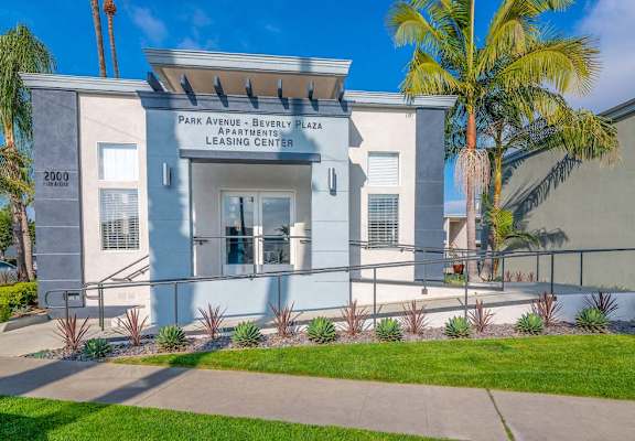 a building with a palm tree in front of it