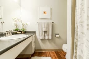 Renton Apartments - The Aviator Apartments - Bathroom
