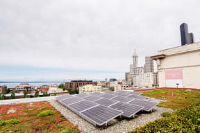 Seattle Apartments - Icon Apartments - Rooftop Solar Panels