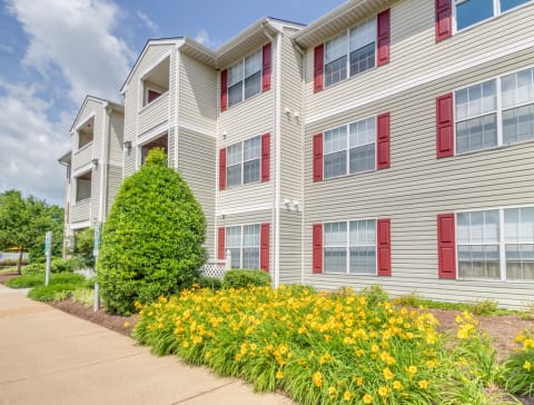 The apartment buildings are a grayish tan in color with red shutters and white trim. They are three stories tall, and are surrounded by luscious landscaping with yellow flowers and mature trees. There is a sidewalk in front that leads to the building.