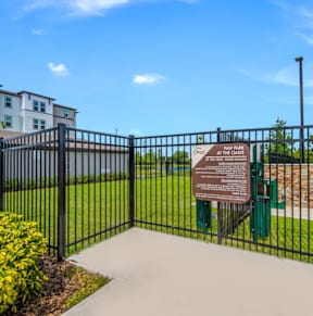 Paw Park