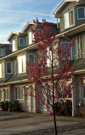 Property exterior at Seaview Apartments in Staten Island, NY, 10305