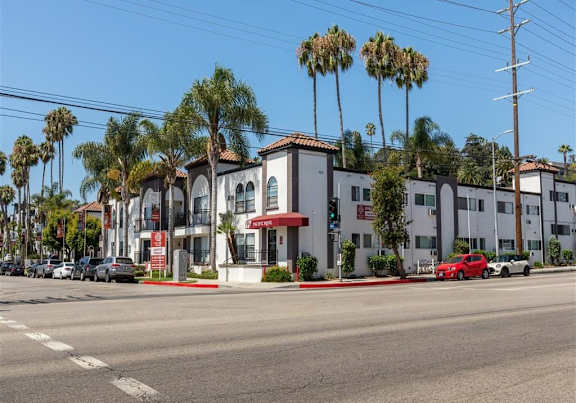 A row of houses with palm trees in front of them.