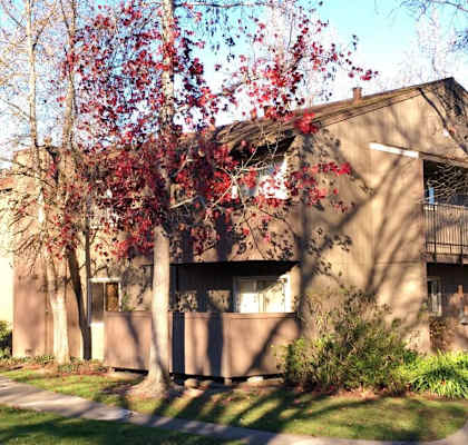 the building in which the apartment is located