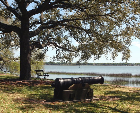 A cannon sits on the ground near a tree at Diamond Townhomes, South Carolina