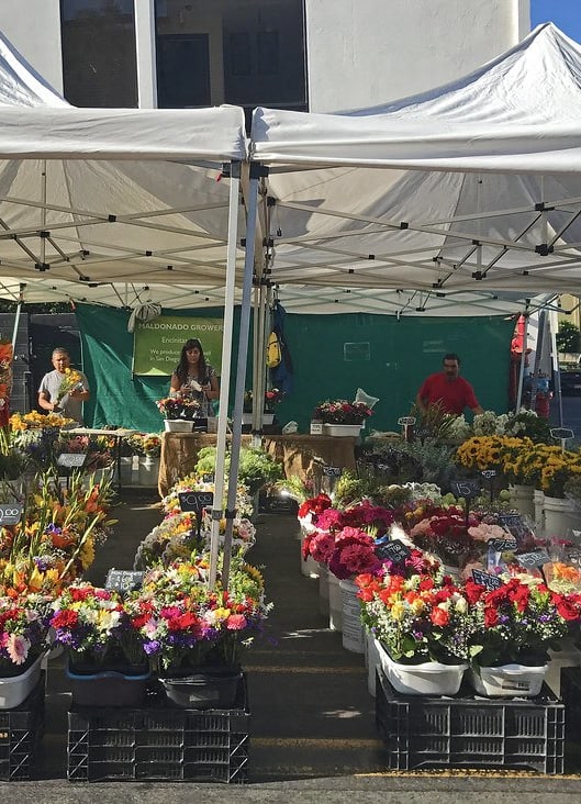 a market with a variety of flowers and plants for sale