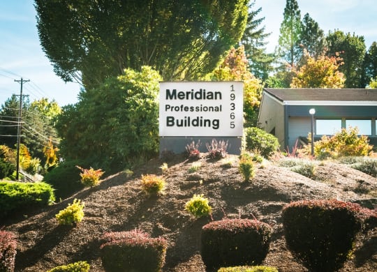 Meridian Professional Building Property Entry Monument Sign