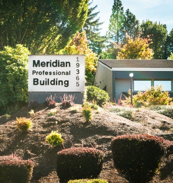 Meridian Professional Building monument sign
